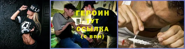 молекула духа Туринск