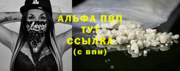 молекула духа Туринск