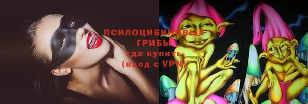 молекула духа Туринск