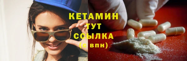 молекула духа Туринск