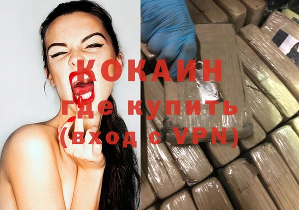 молекула духа Туринск