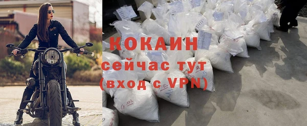 молекула духа Туринск