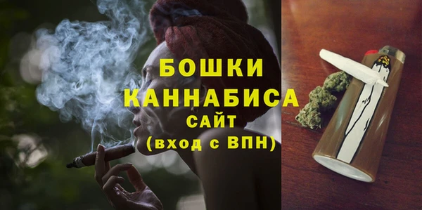 молекула духа Туринск
