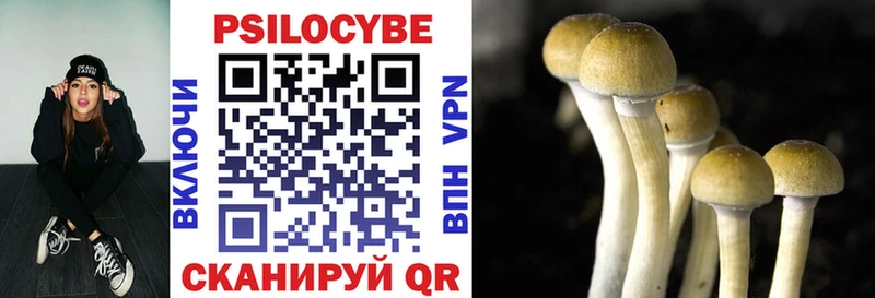 даркнет сайт Чёрмоз OMG маркетплейс Галлюциногенные грибы Magic Shrooms